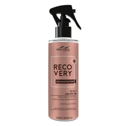 Recovery 12in1